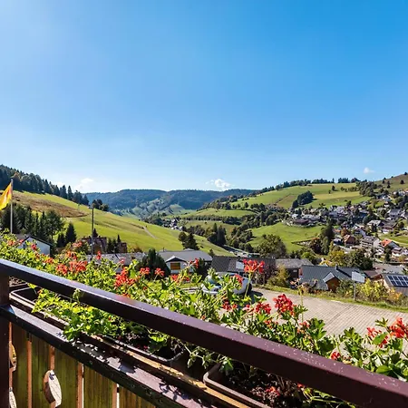 Kehrwieder Апартаменты Тодтнауберг